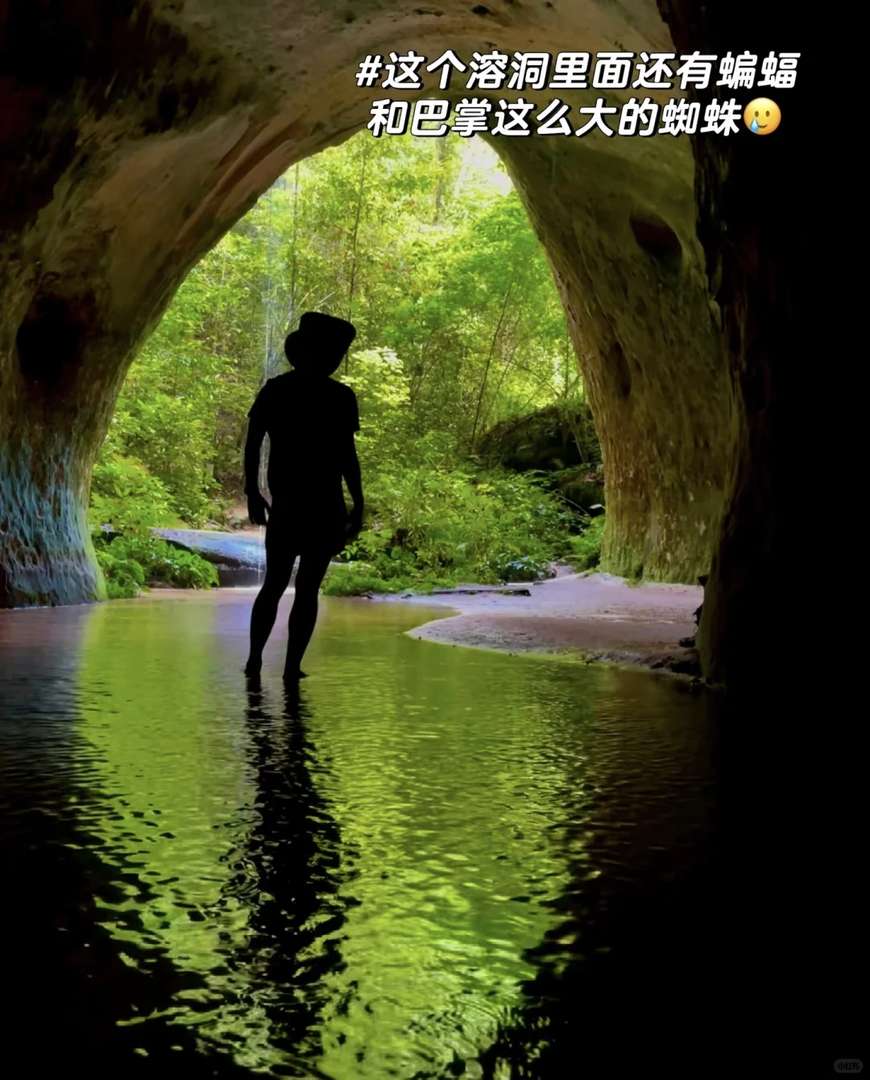 Comprehensive Amazon Rainforest Guide for Eco Travel Enthusiasts