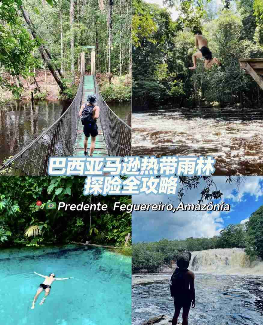 Comprehensive Amazon Rainforest Guide for Eco Travel Enthusiasts