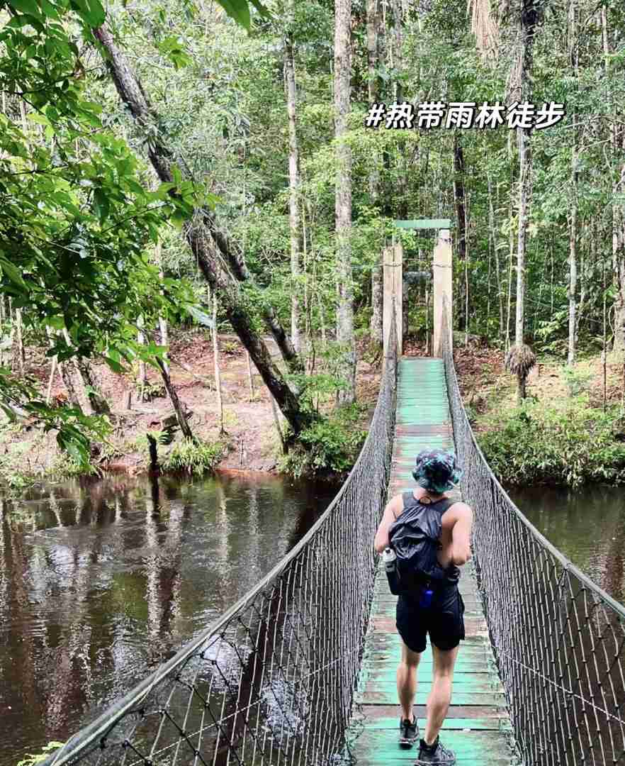 Comprehensive Amazon Rainforest Guide for Eco Travel Enthusiasts