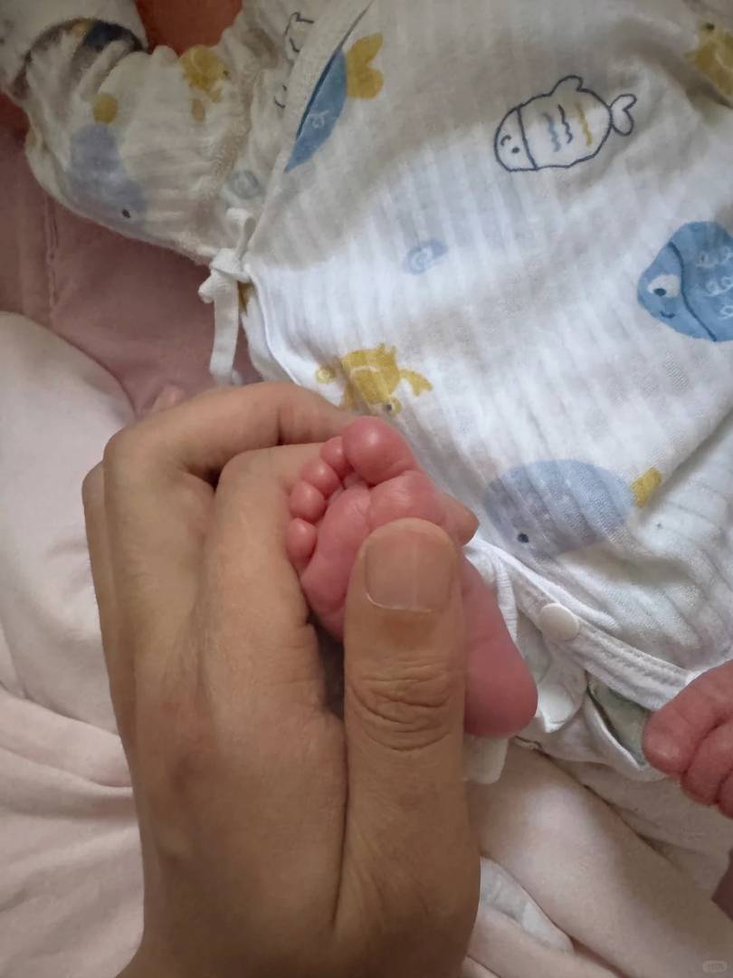 Umfassende Anleitung für den Reiseplanung von Mischlingsbabys: Tipps für einen reibungslosen Flug und das Nötigste
