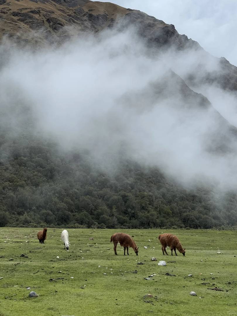 -Day 3-Night Peru Highlands Trek: 40km Adventure Through Scenic Trails