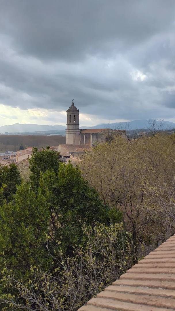 -Day Barcelona Self-Drive Rental for 156 Euros with Practical Parking Pass