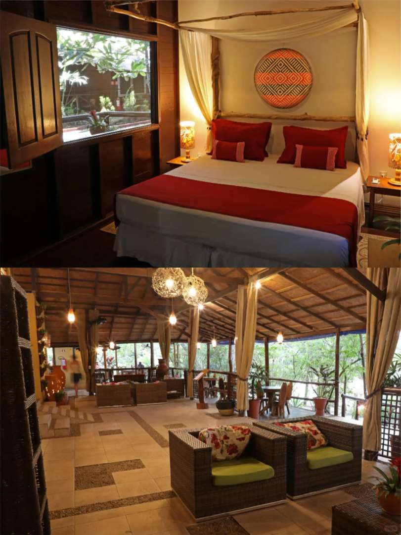 -Day Manaus Brazil Itinerary: Deep Amazon Rainforest Exploration