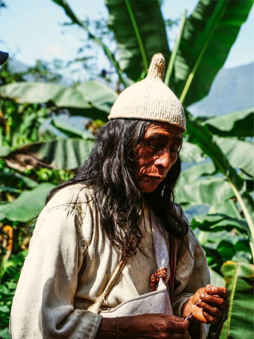 -Day Manaus Brazil Itinerary: Deep Amazon Rainforest Exploration