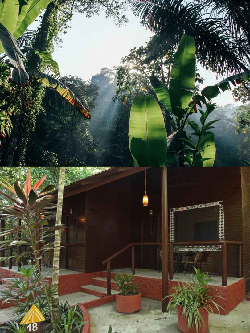-Day Manaus Brazil Itinerary: Deep Amazon Rainforest Exploration