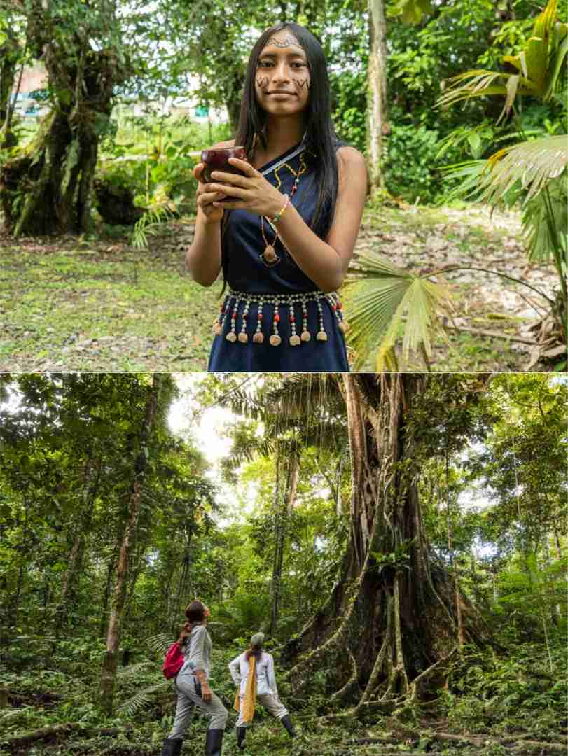 -Day Manaus Brazil Itinerary: Deep Amazon Rainforest Exploration