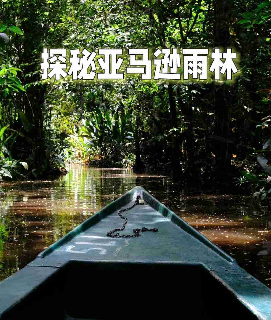 Days 2 Nights Amazon Rainforest Tour | Best Exploring Adventure