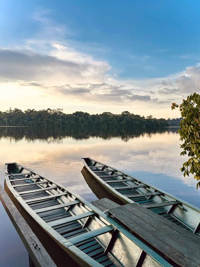 Days 2 Nights Amazon Rainforest Tour | Explore Biodiversity