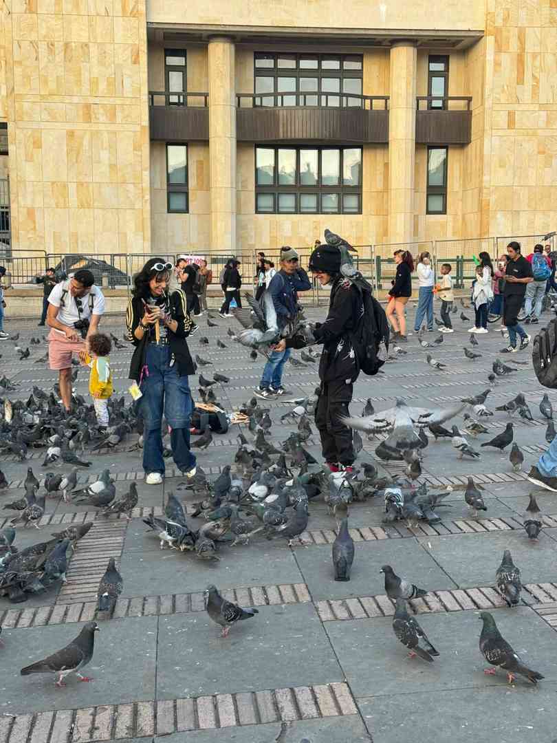 Days 4 Nights Bogota Colombia Itinerary: Budget Travel Guide