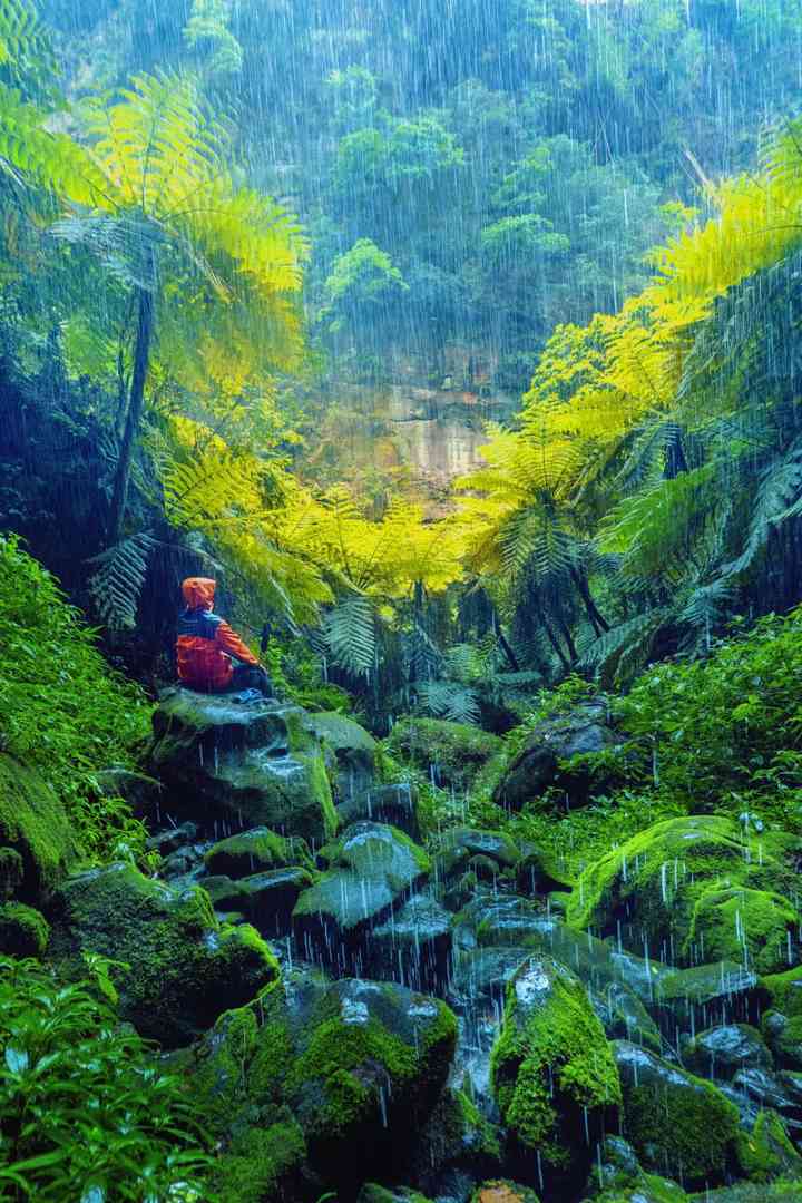 Discover Chengdu's Own Amazon Rainforest: Unique Nature Around Chengdu