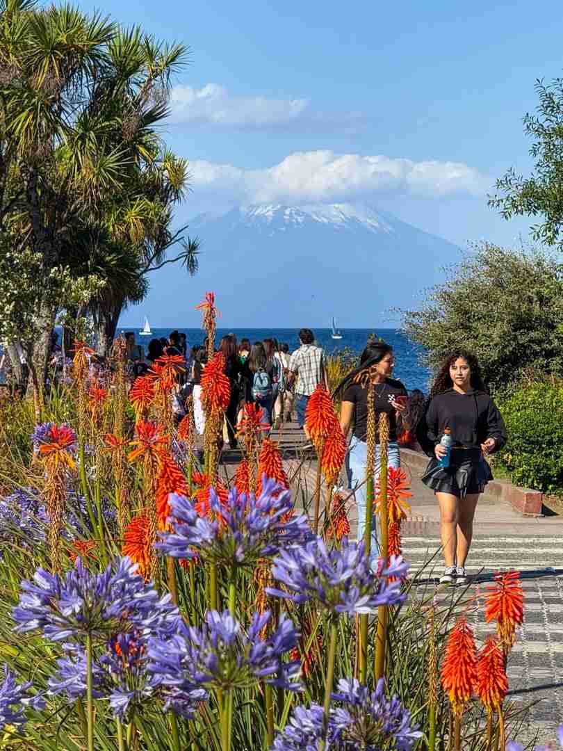 Entdecke Chiles Geheimtipp: Reiseziel Puerto Varas