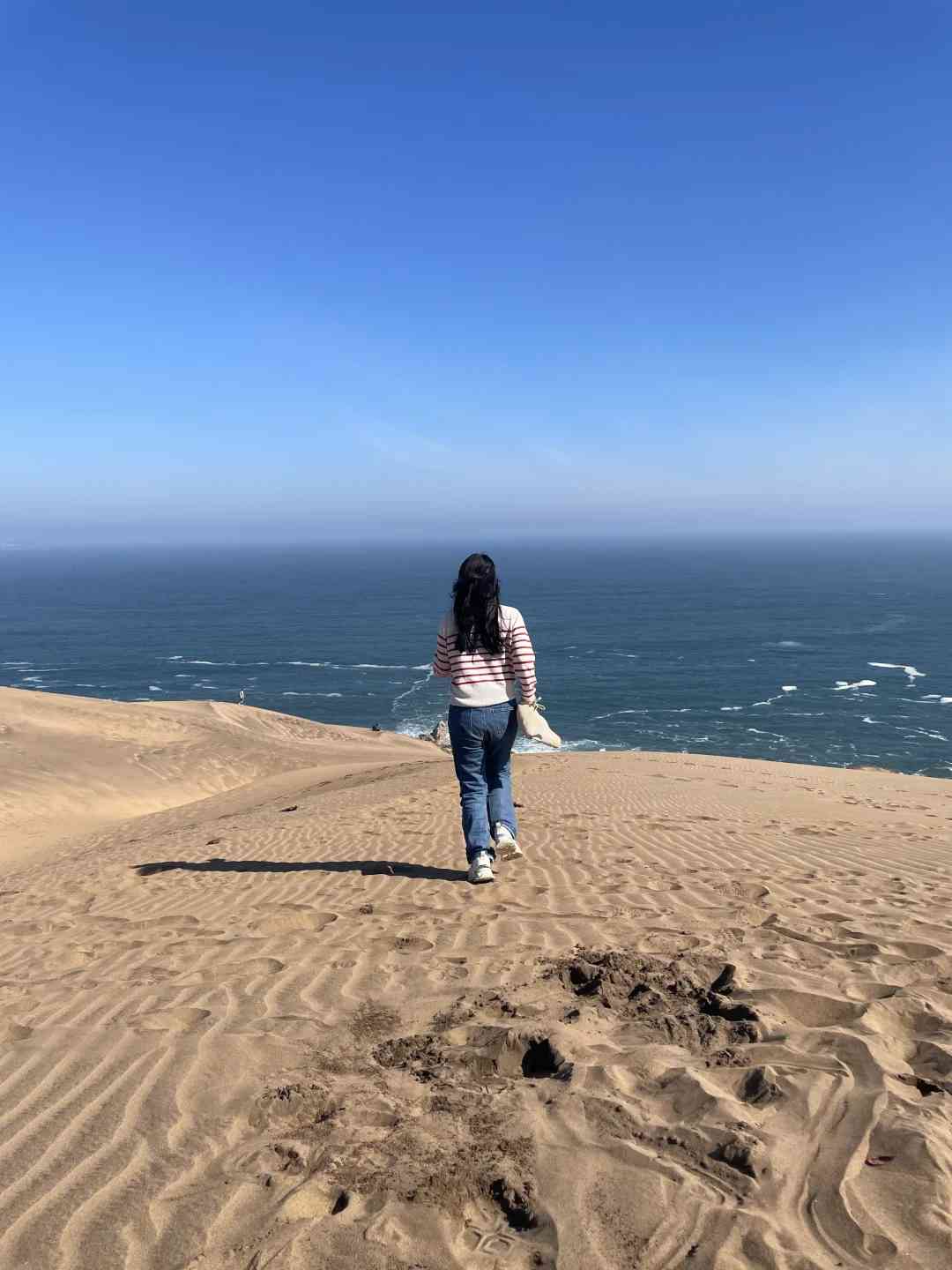 Discover Concon: Best Self-Guided Tour Routes & Budget Tips for Coastal Desert Travel