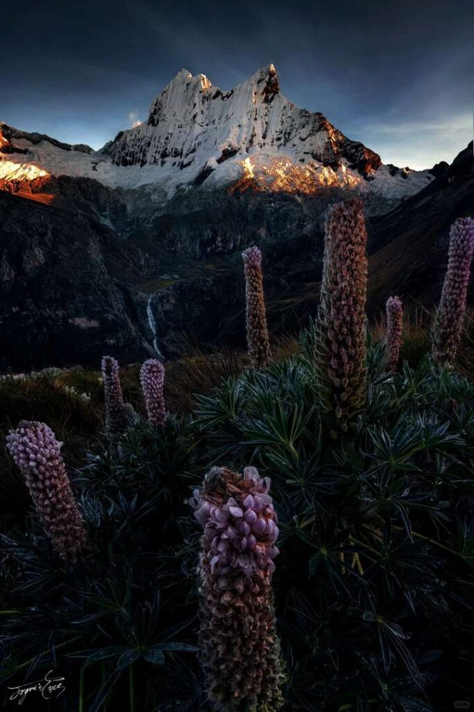 Discover the Beauty of Peru: A Person’s Unique Journey Through Time
