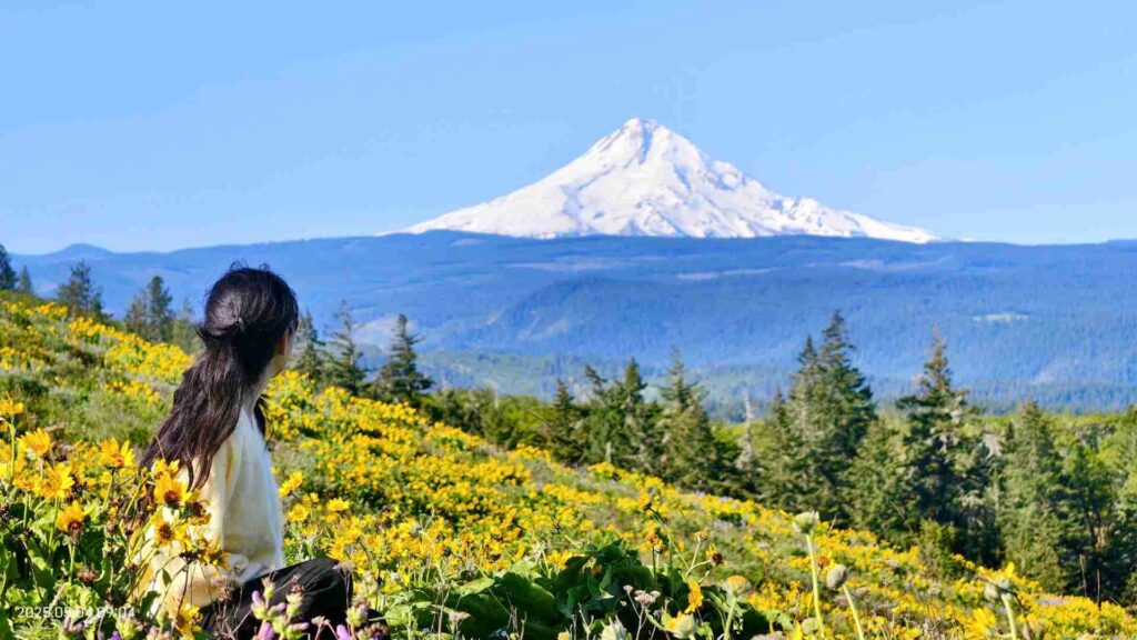 Discover the Beauty of the Second Wave of Wildflowers in Spring