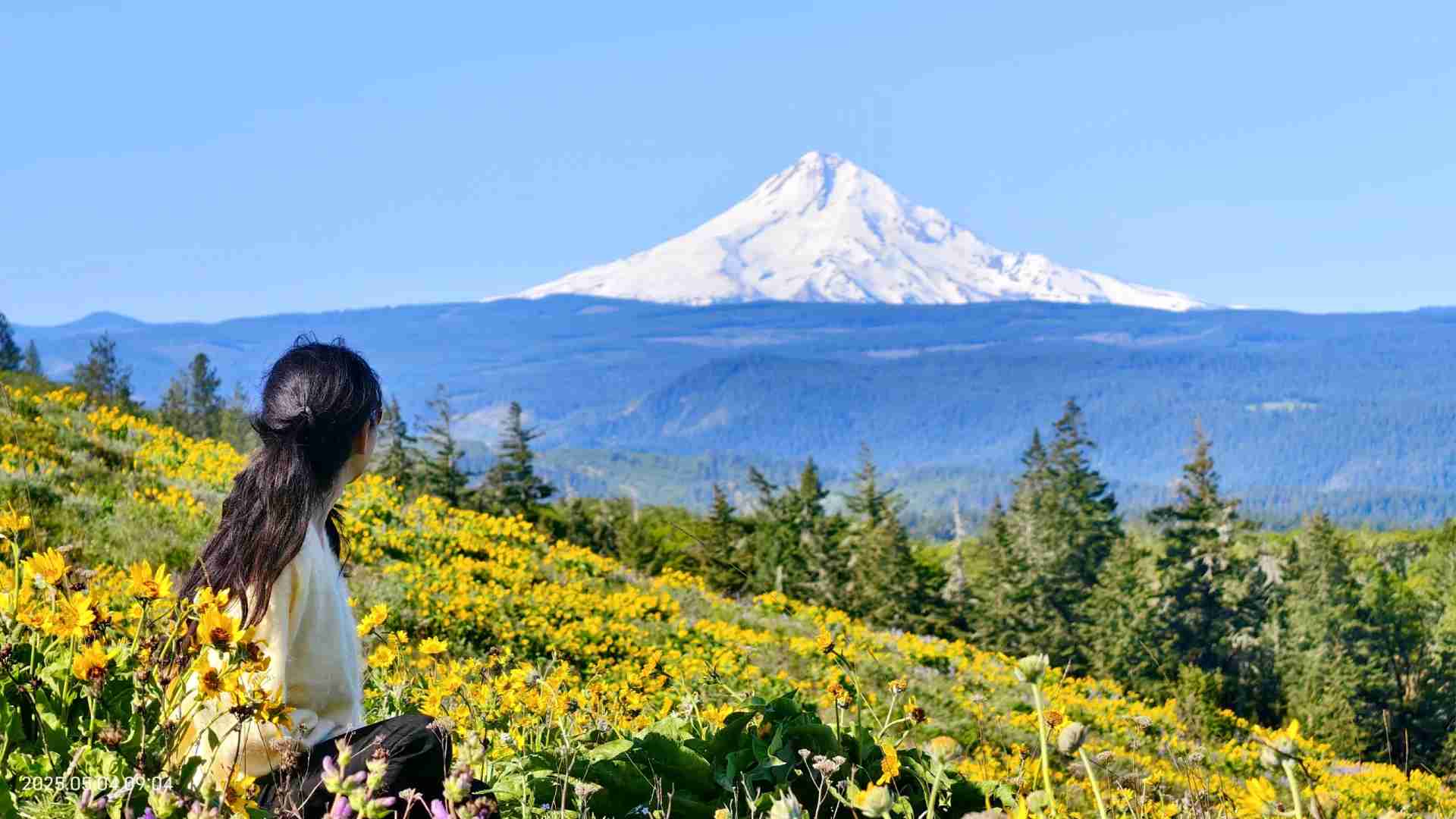 Discover the Beauty of the Second Wave of Wildflowers in Spring