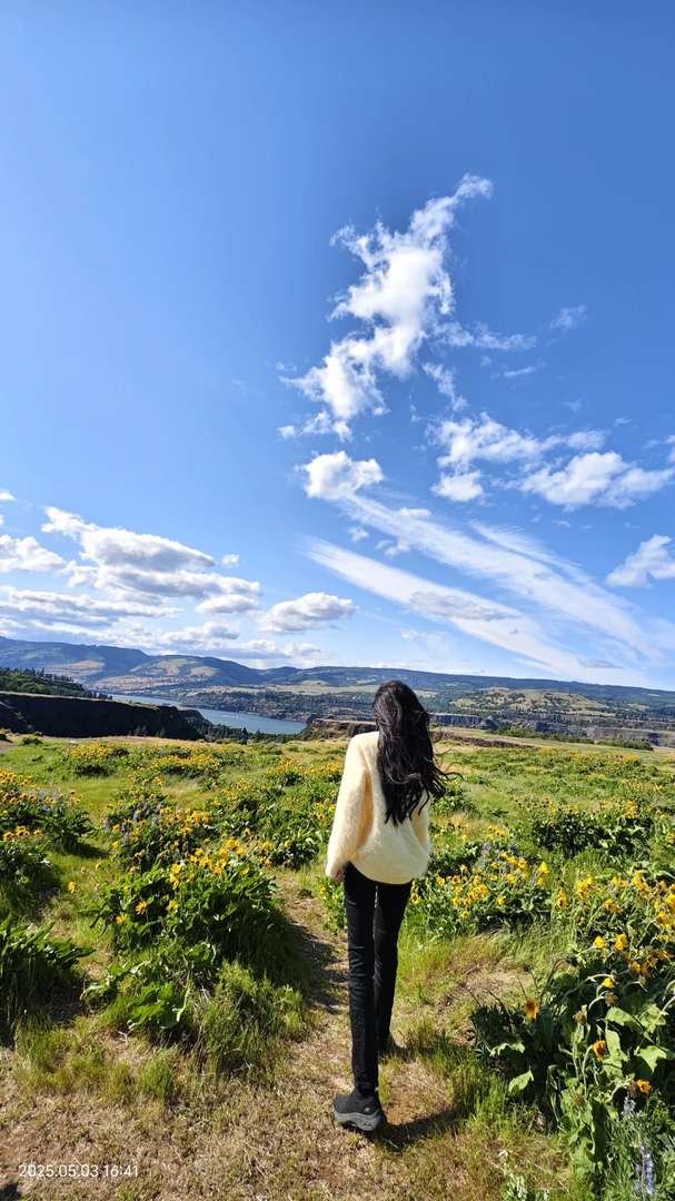 Discover the Beauty of the Second Wave of Wildflowers in Spring