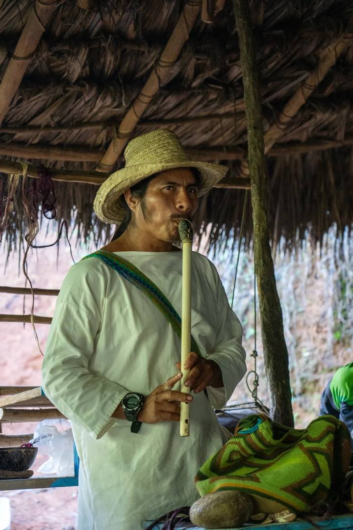 Discover the Best Hiking Trail in South America: The Lost City Colombia