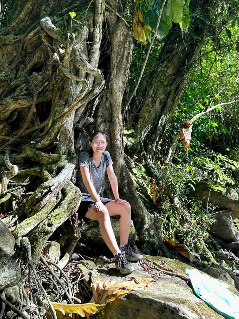 Discover the Best Hiking Trail in South America: The Lost City Colombia
