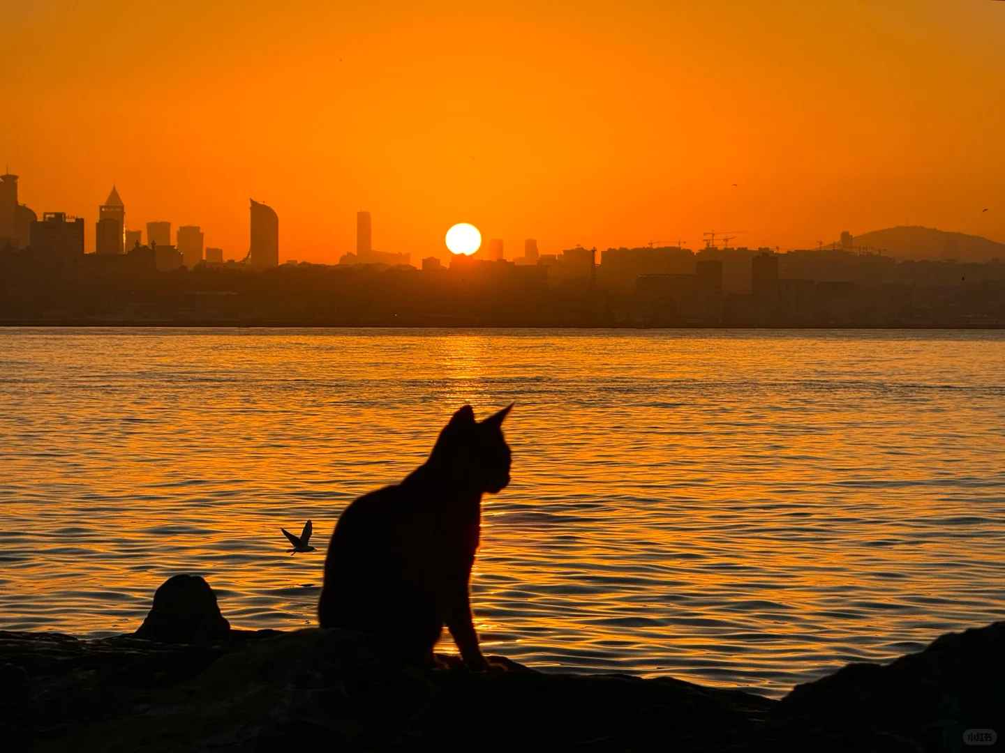 Discover the Best Turkey Tourism Spots: Honest Traveler's Guide