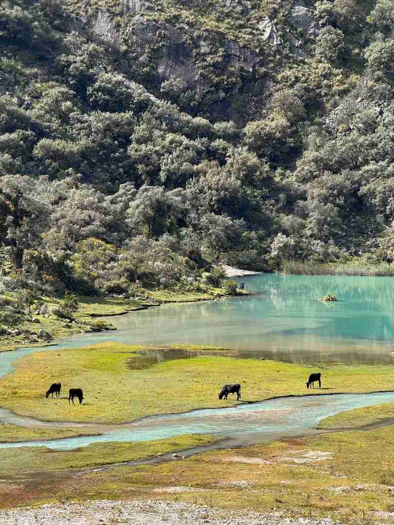Discover the Breathtaking Huaraz 69 Lake in Peru: A Traveler's Paradise