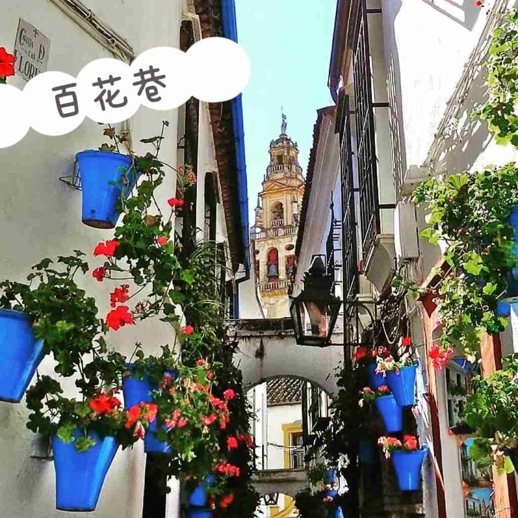 Discover the Charm of Cordoba, Spain's Flower-Filled Small Town