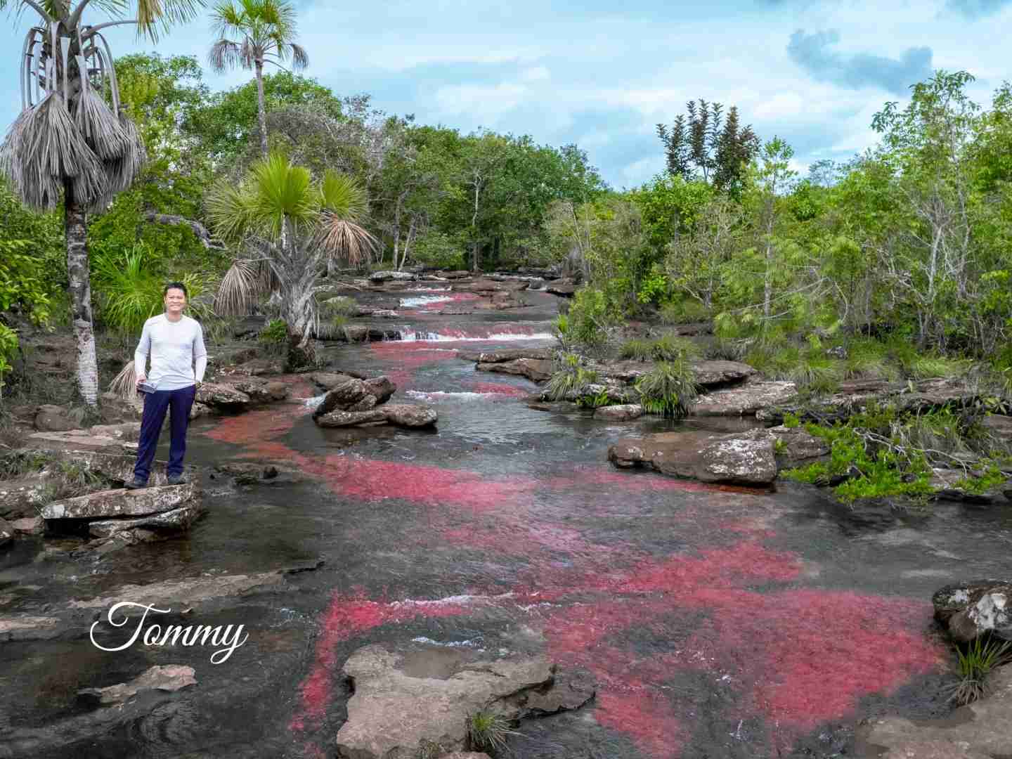 Discover the Hidden Beauty of Colombia's 🇨🇴 Rainbow River 🌈 Location