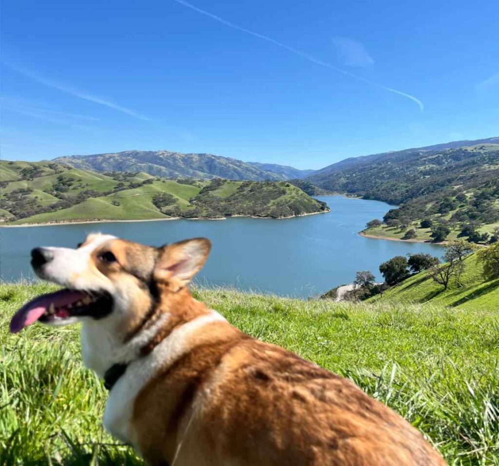 Discover why Del Valle Lake is called the “Little Switzerland” this weekend | Travel Guide