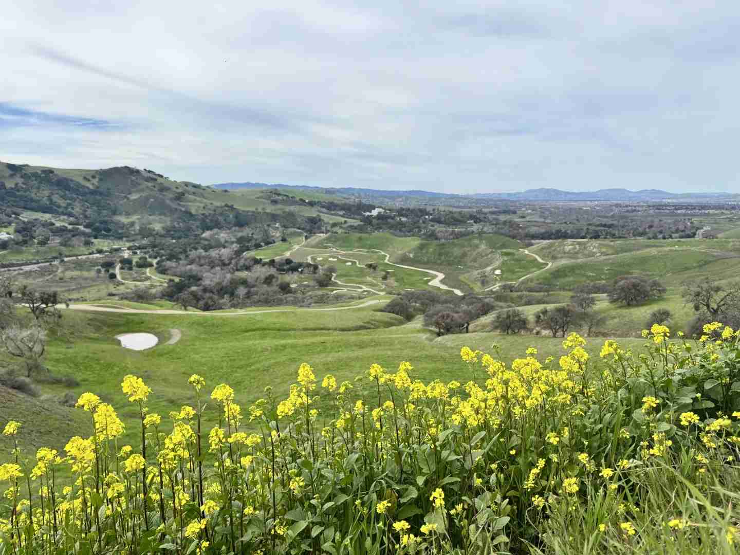 Discovering Little Switzers in the Bay Area: A Hiker's Guide