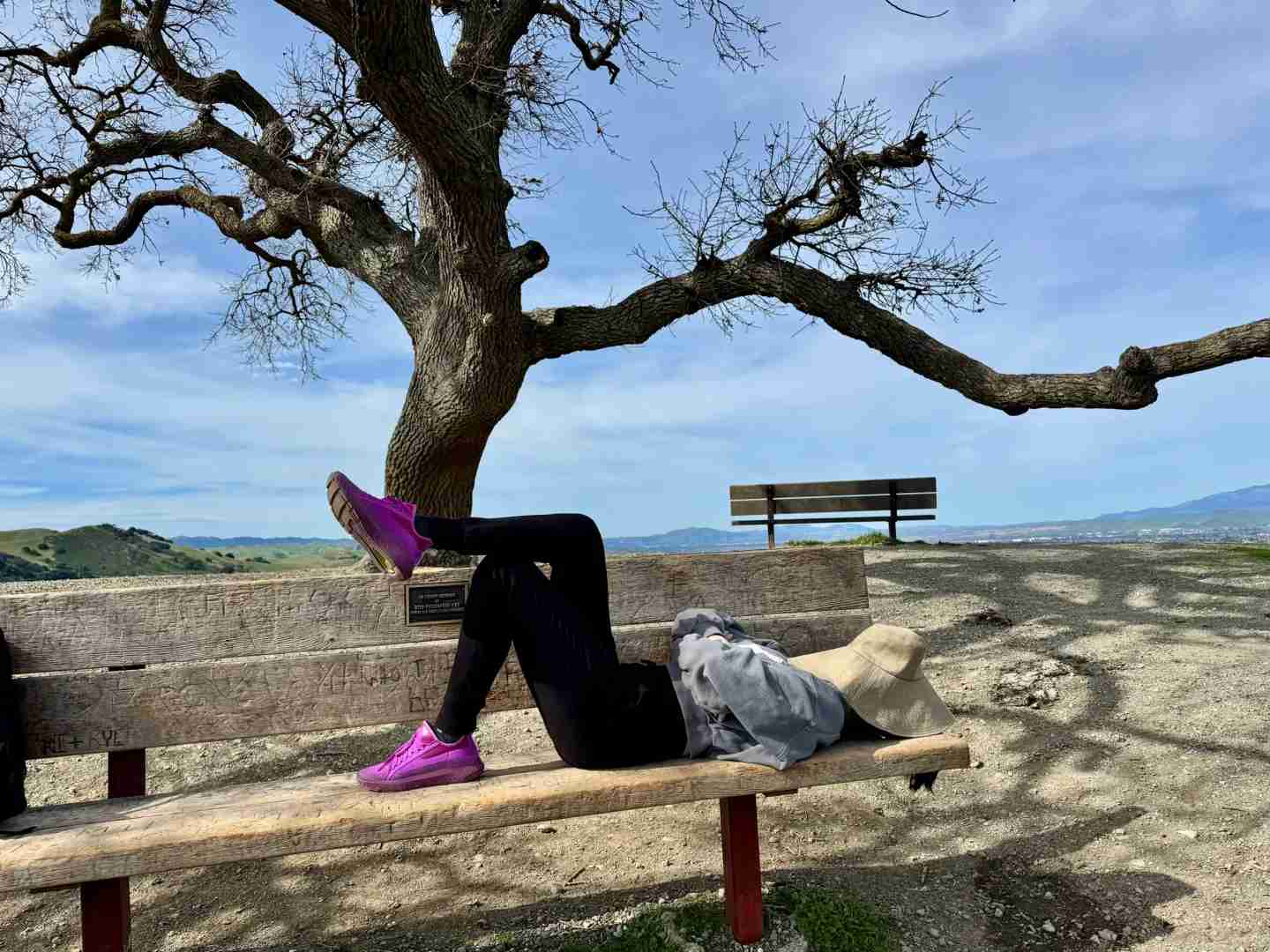 Discovering Little Switzers in the Bay Area: A Hiker's Guide
