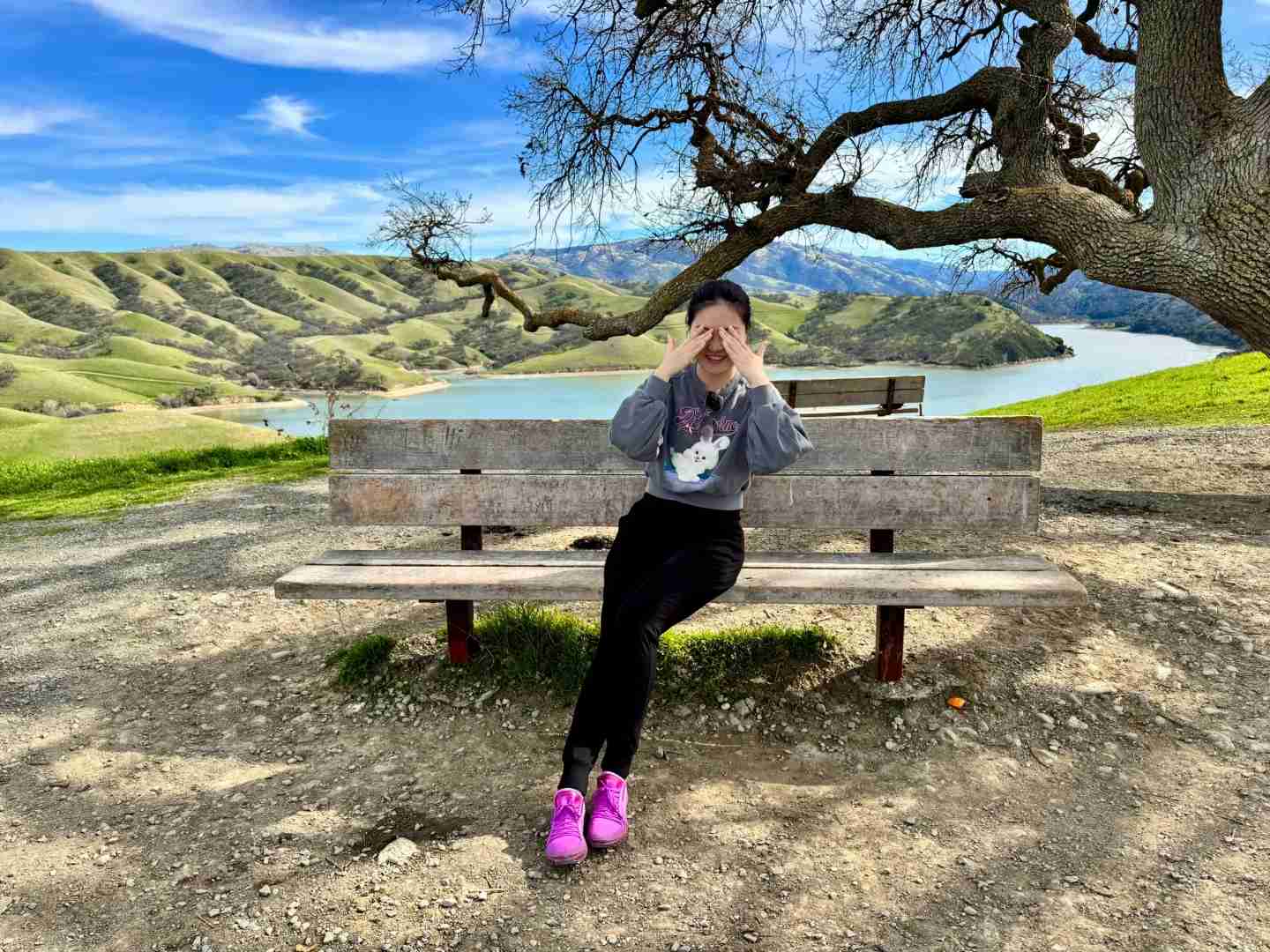 Discovering Little Switzers in the Bay Area: A Hiker's Guide