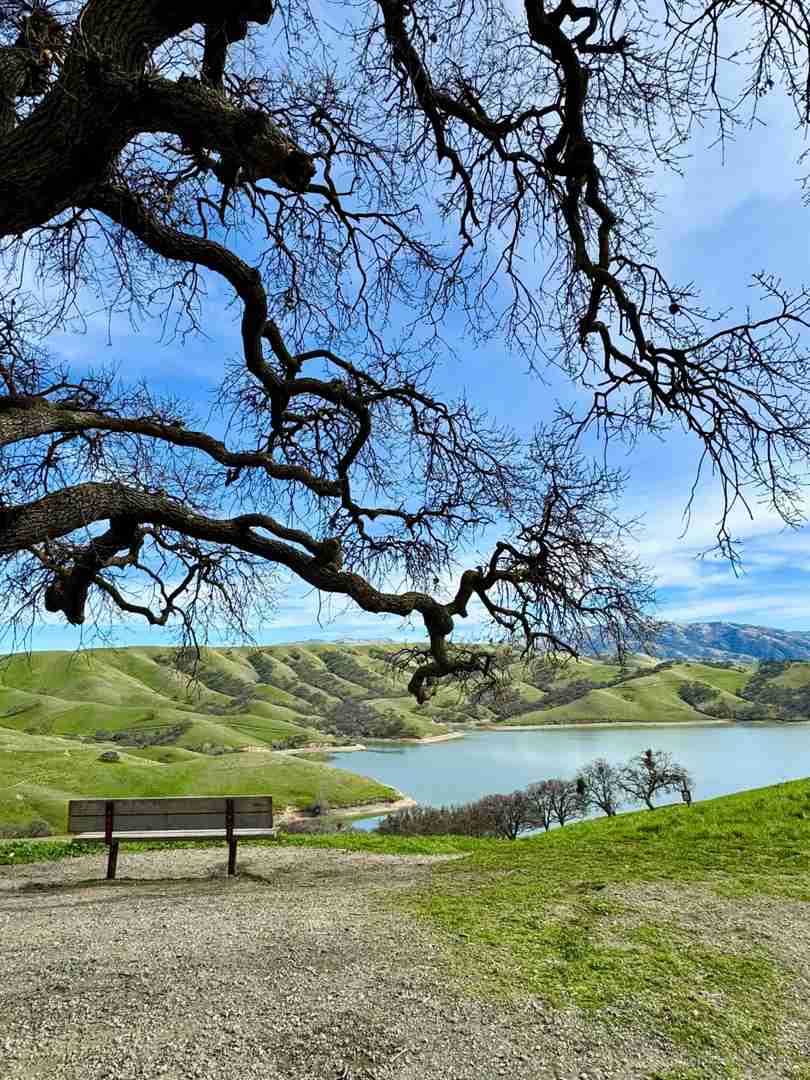 Discovering Little Switzers in the Bay Area: A Hiker's Guide
