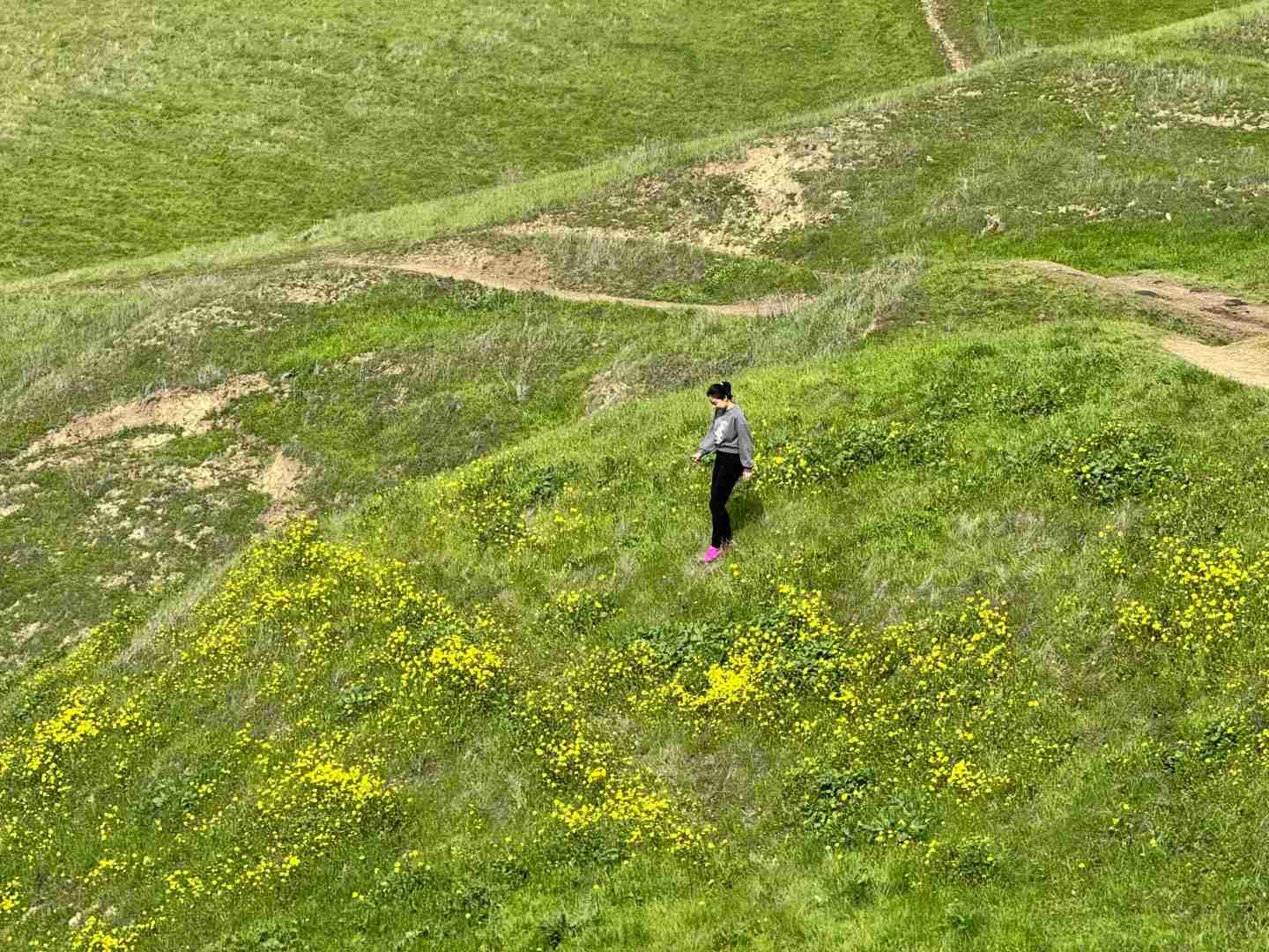 Discovering Little Switzers in the Bay Area: A Hiker's Guide