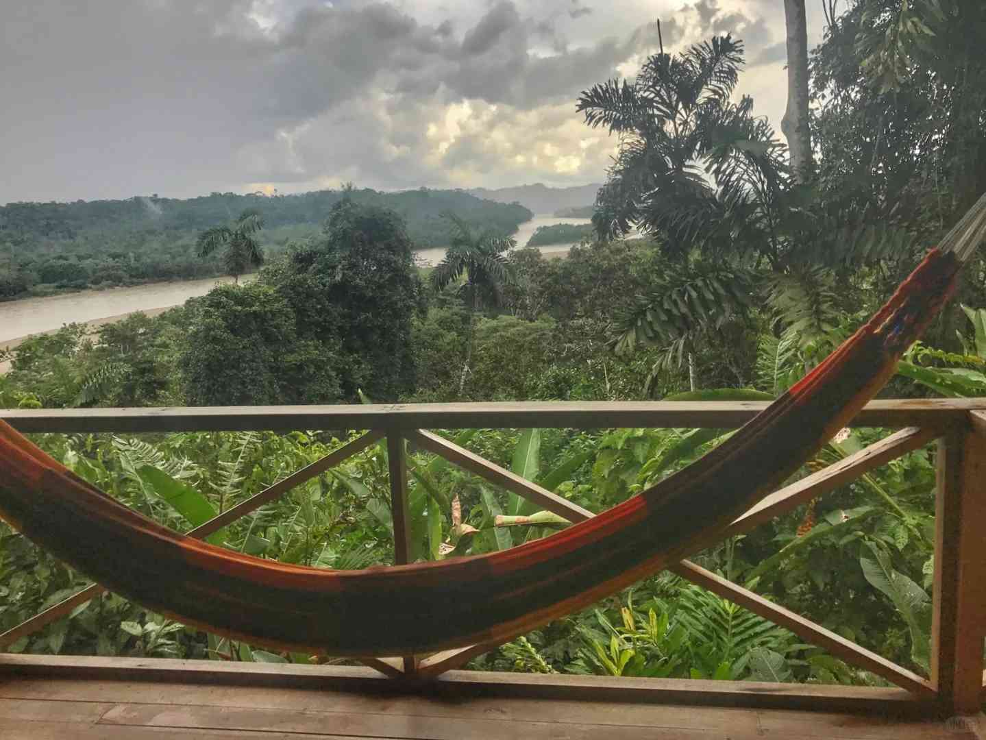 Ecuador 🇪🇨 Amazon Rainforest Hiking Trails and Wildlife (Beginner's Guide)