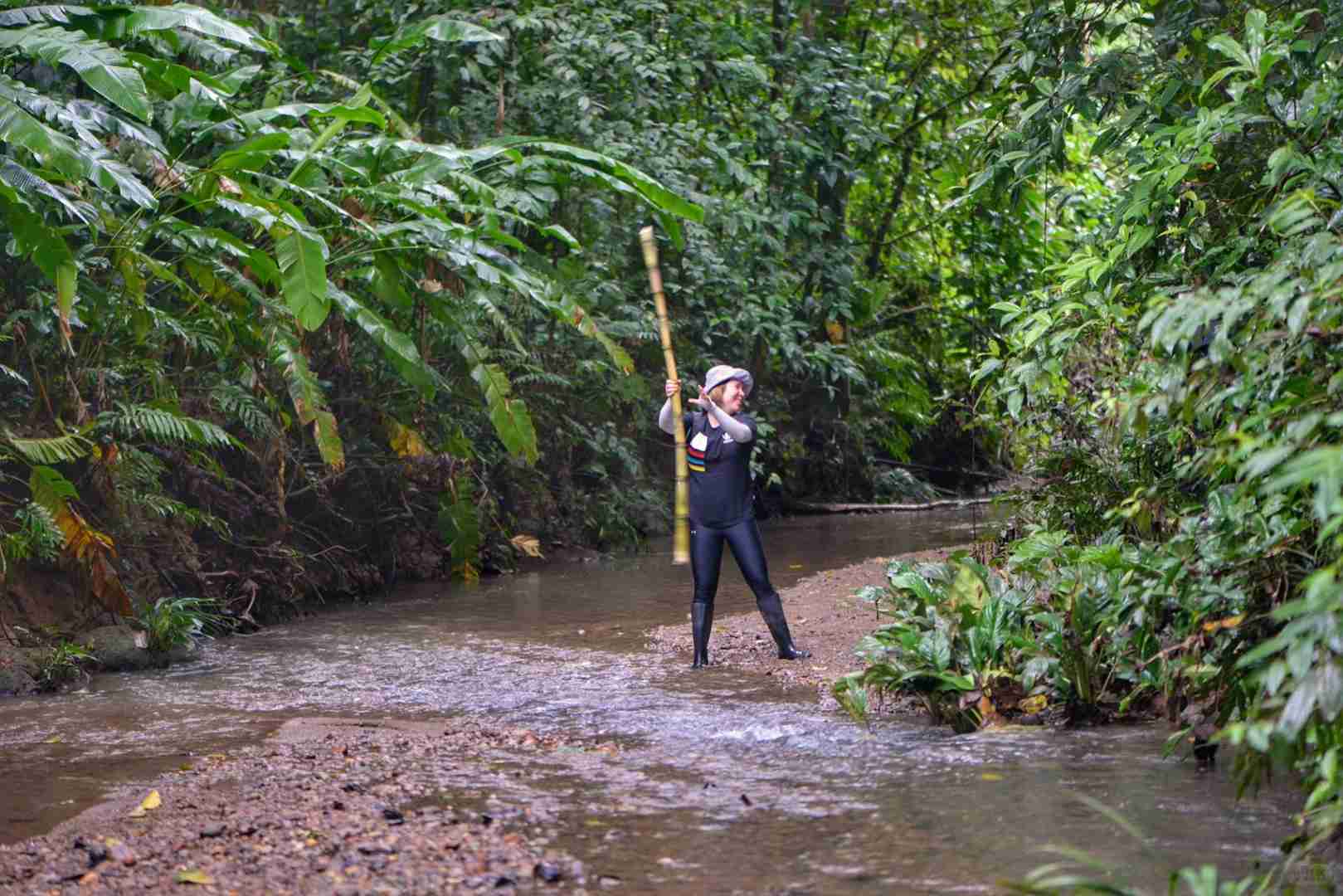 Ecuador 🇪🇨 Amazon Rainforest Hiking Trails and Wildlife (Beginner's Guide)