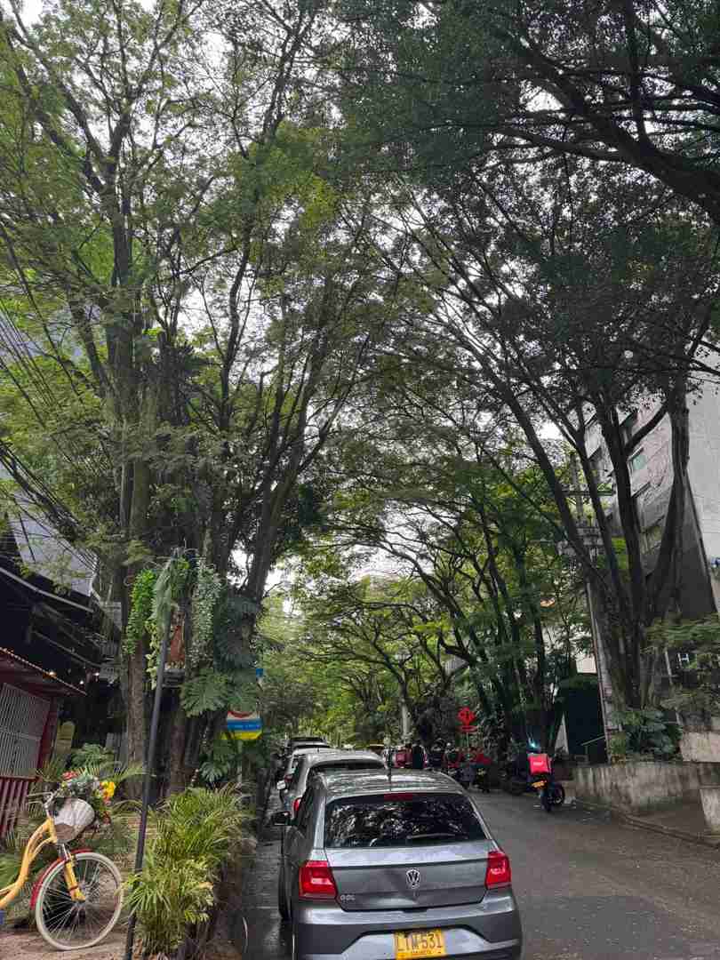 Expat Guide: Living in Medellin Colombia with Tips and Insights