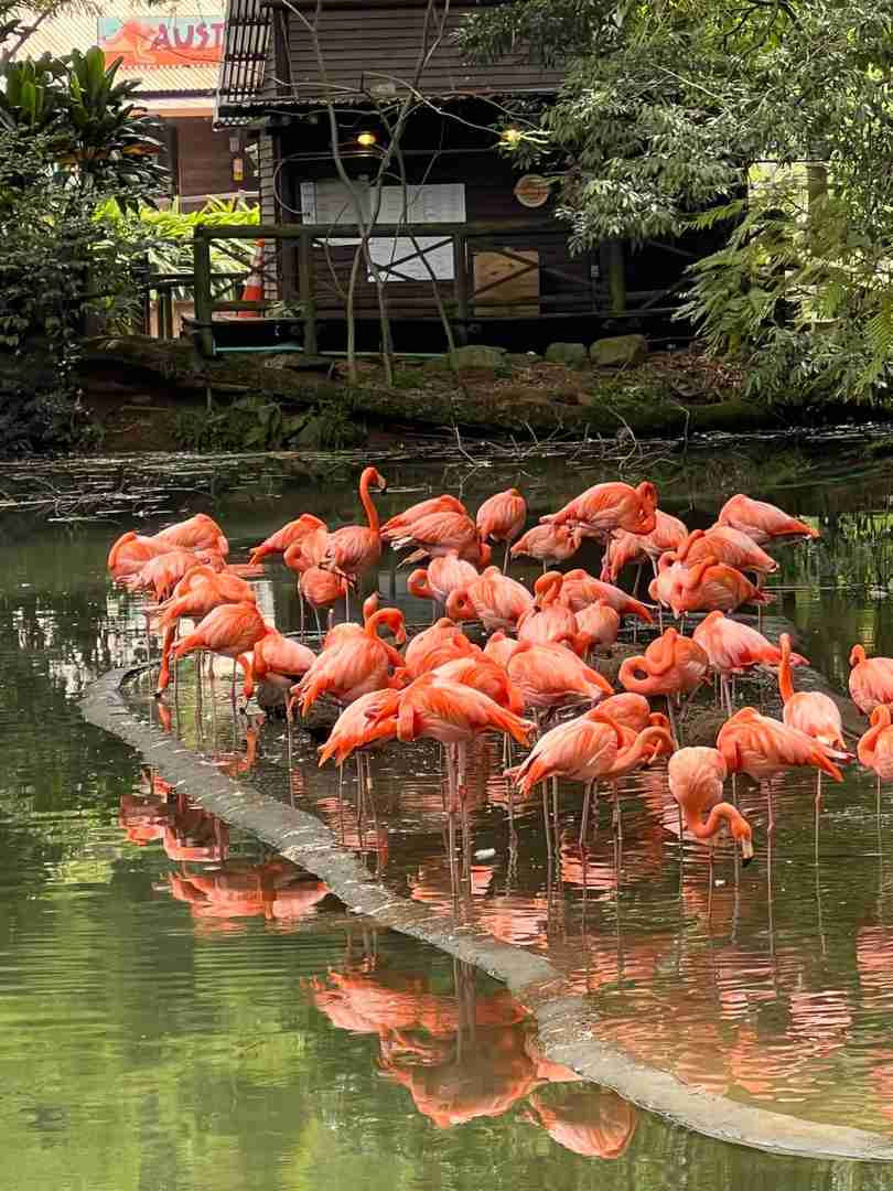 Vie des Expatriés à Cali, Colombie : Un Guide pour les Étrangers Vivant à l’Étranger