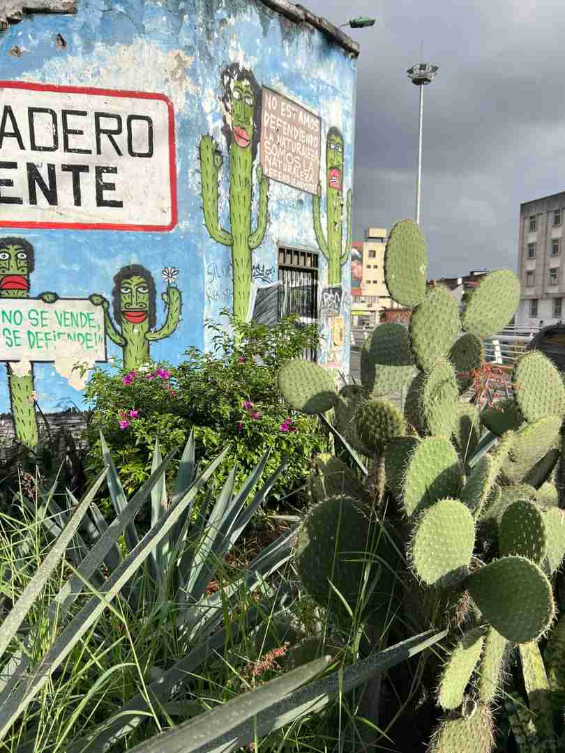 Vie des Expatriés à Cali, Colombie : Un Guide pour les Étrangers Vivant à l’Étranger