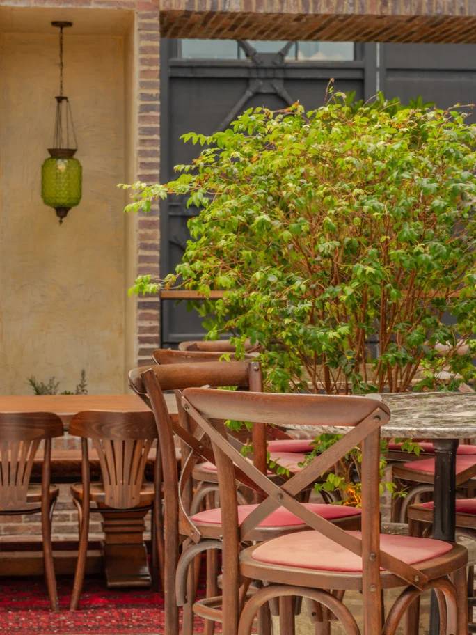 Experience Luxury in Colombia at Hotel El Zarzo Boutique Hotel