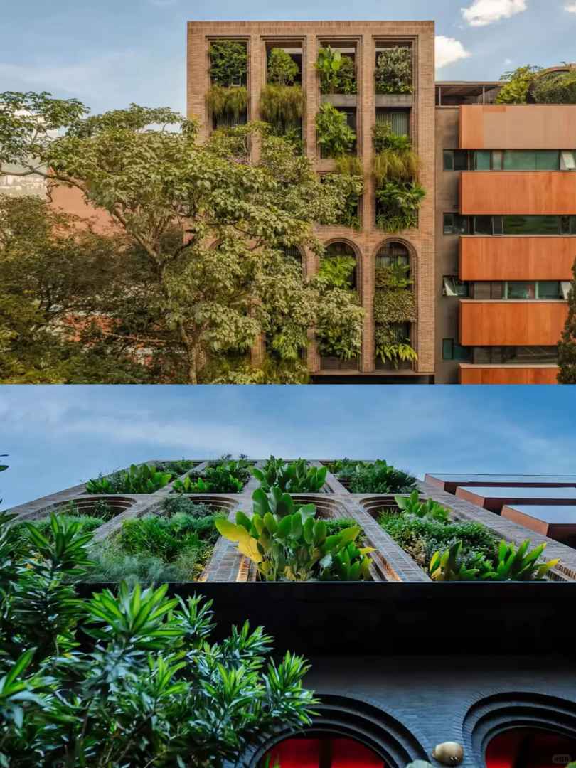 Experience Luxury in Colombia at Hotel El Zarzo Boutique Hotel