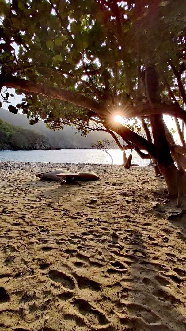 Experience the Authentic Indigenous Tribe's Wild Island Adventure Today
