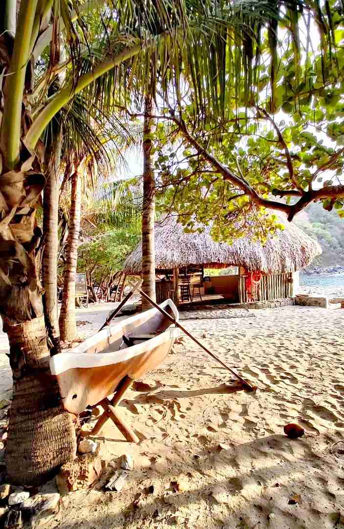 Experience the Authentic Indigenous Tribe's Wild Island Adventure Today