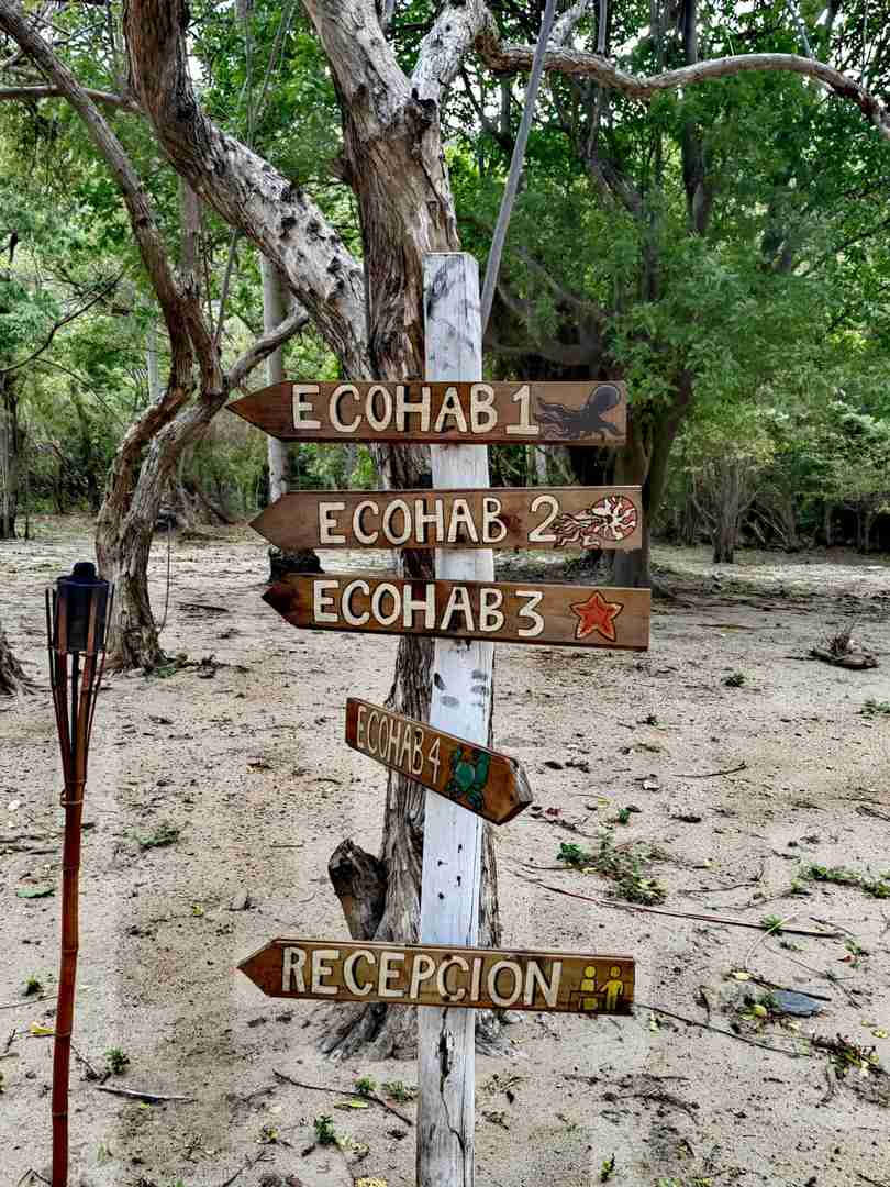 Experience the Authentic Indigenous Tribe's Wild Island Adventure Today