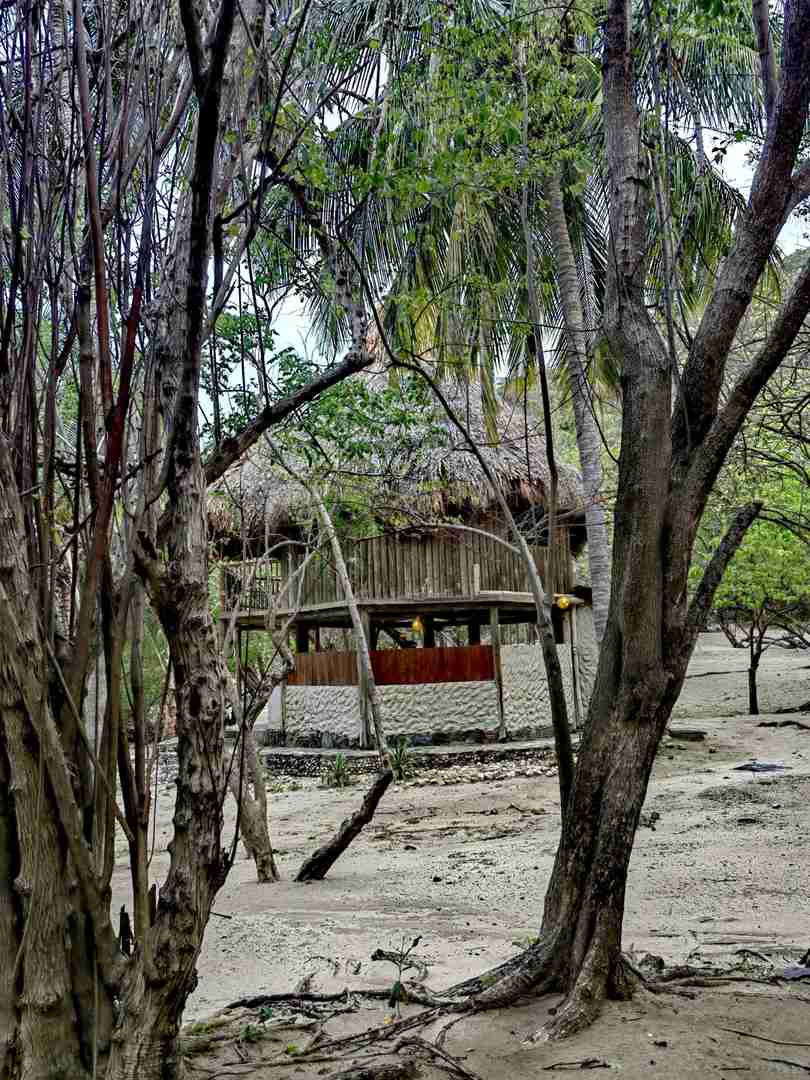 Experience the Authentic Indigenous Tribe's Wild Island Adventure Today