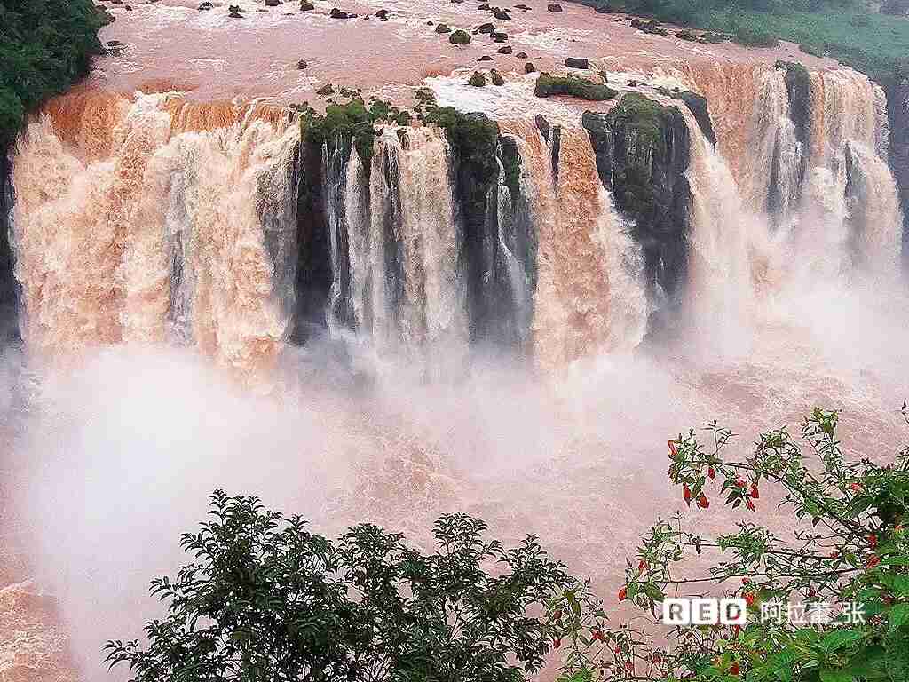 Experimente a Aventura Molhada das Cataratas do Iguaçu no Brasil Como um Viajante Local