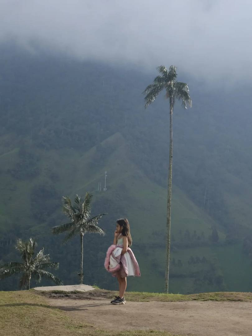 Experimente a Estonteante Beleza do Vale de Cocora, Quindío, Colômbia