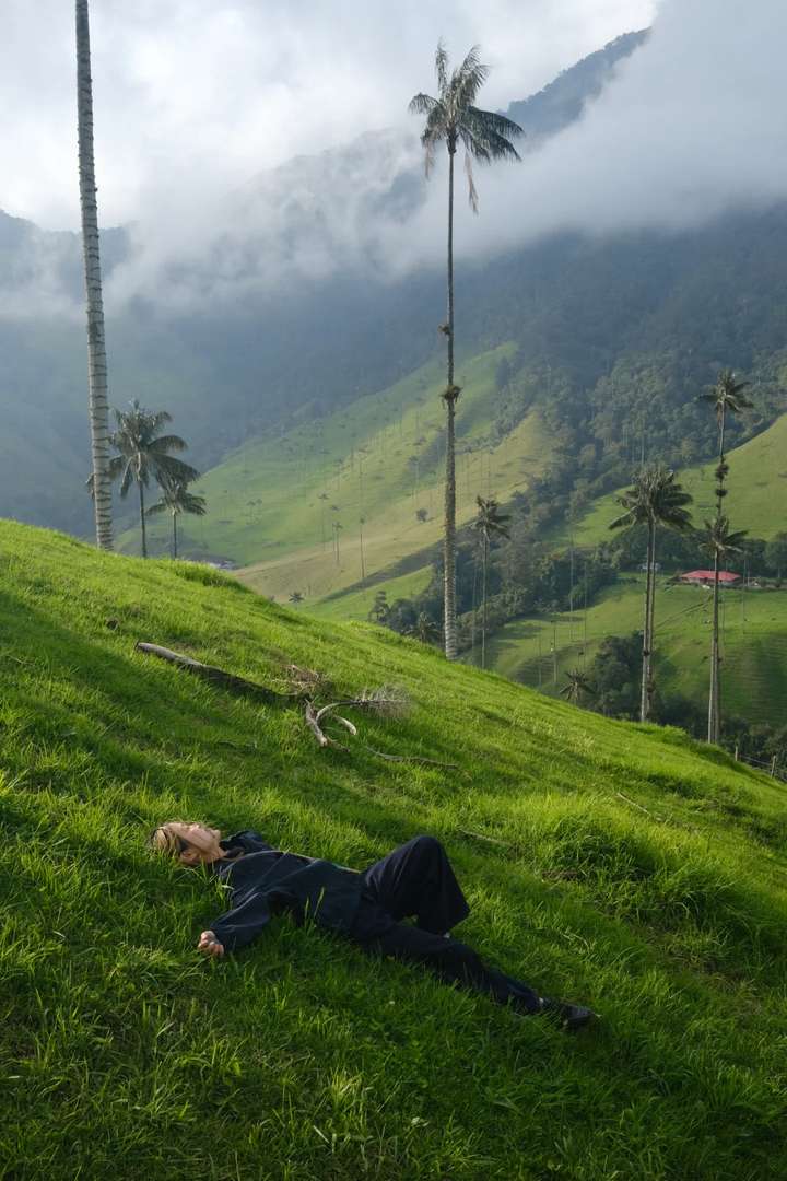 Experimente a Estonteante Beleza do Vale de Cocora, Quindío, Colômbia