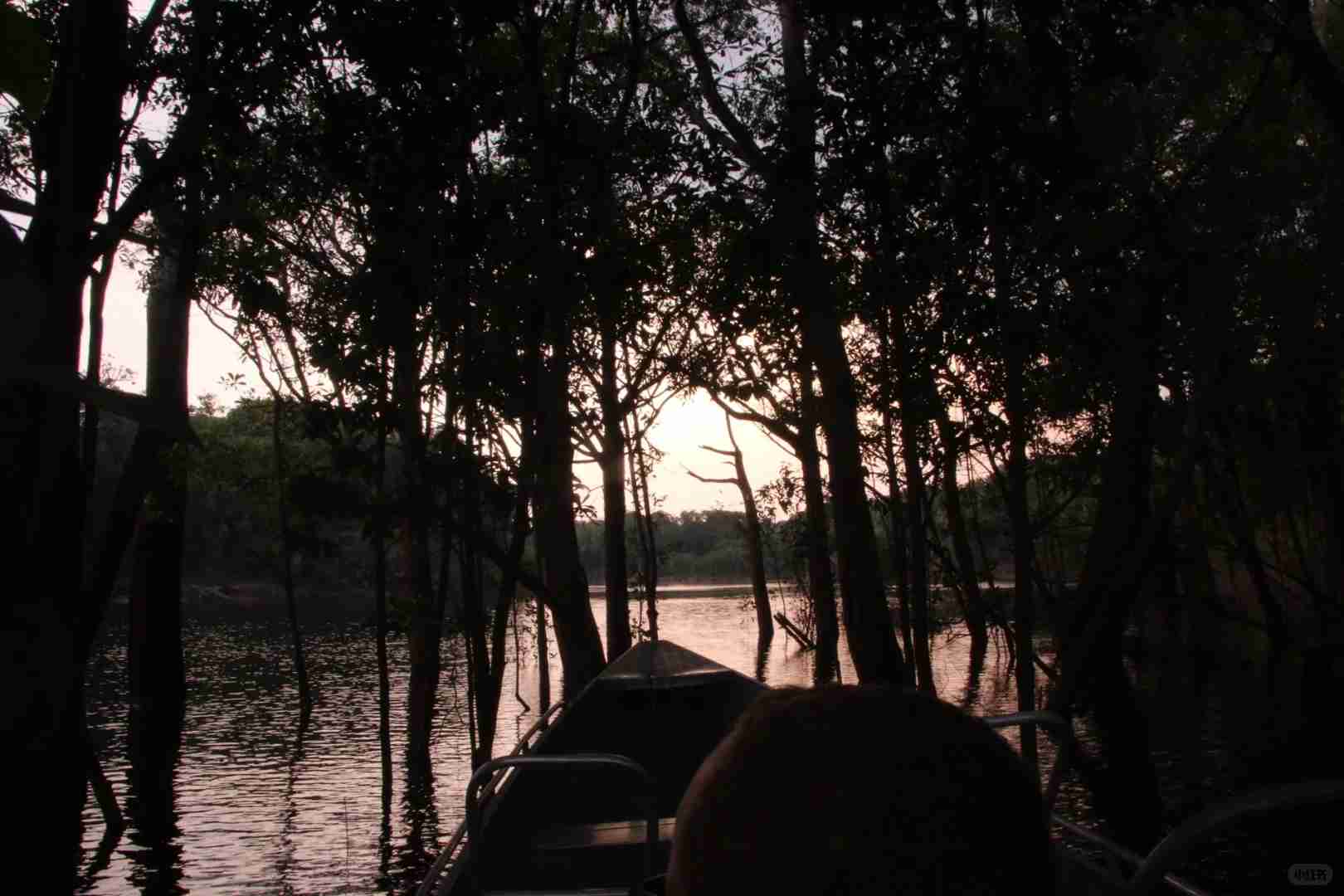 Experience the Thrill of a 3-Day Amazon Adventure Trip | Once-in-a-Lifetime Journey
