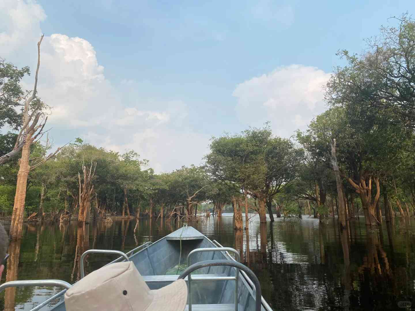 Experience the Thrill of a 3-Day Amazon Adventure Trip | Once-in-a-Lifetime Journey