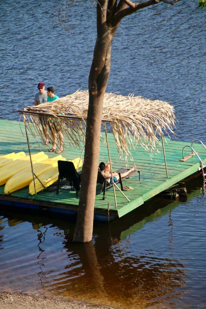 Experience the Thrill of a 3-Day Amazon Adventure Trip | Once-in-a-Lifetime Journey