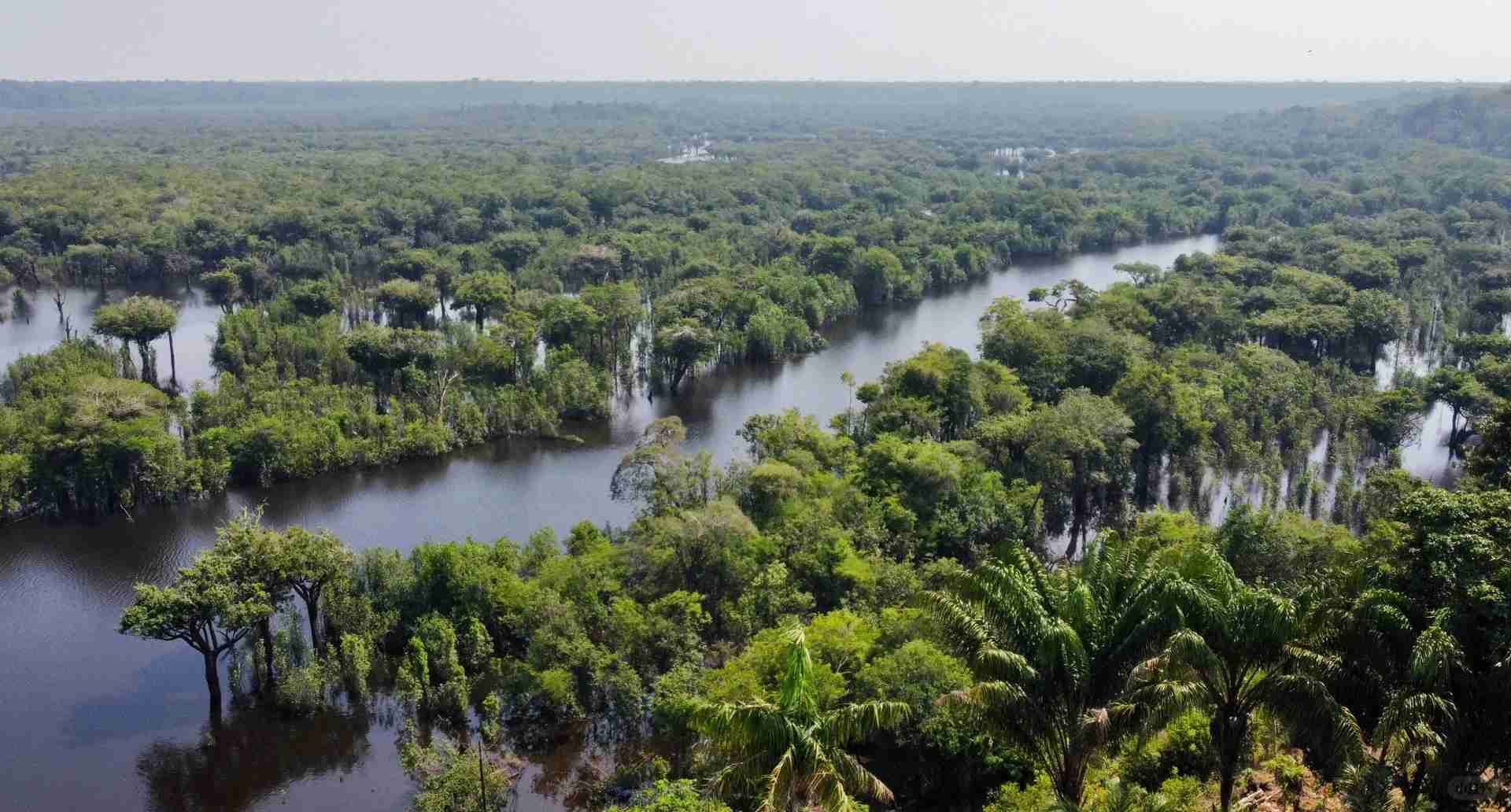 Experience the Thrill of a 3-Day Amazon Adventure Trip | Once-in-a-Lifetime Journey
